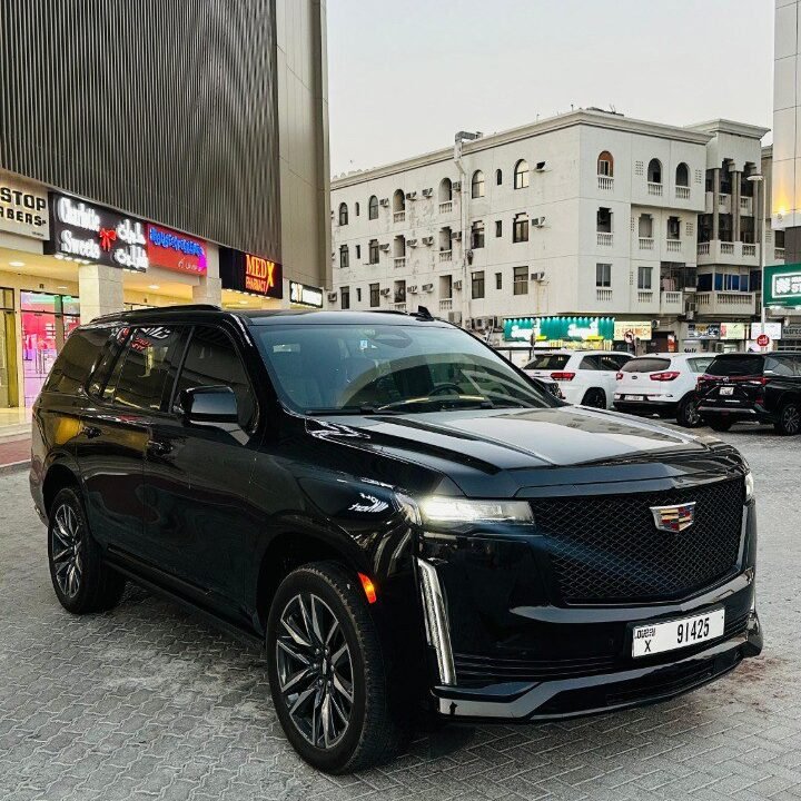 photo_5875253912624285711_y