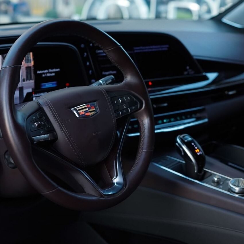 photo_5875253912624285713_y