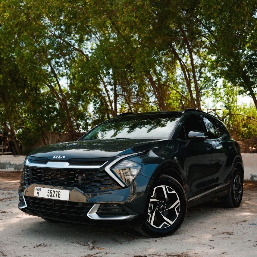 photo_5875253912624285780_y